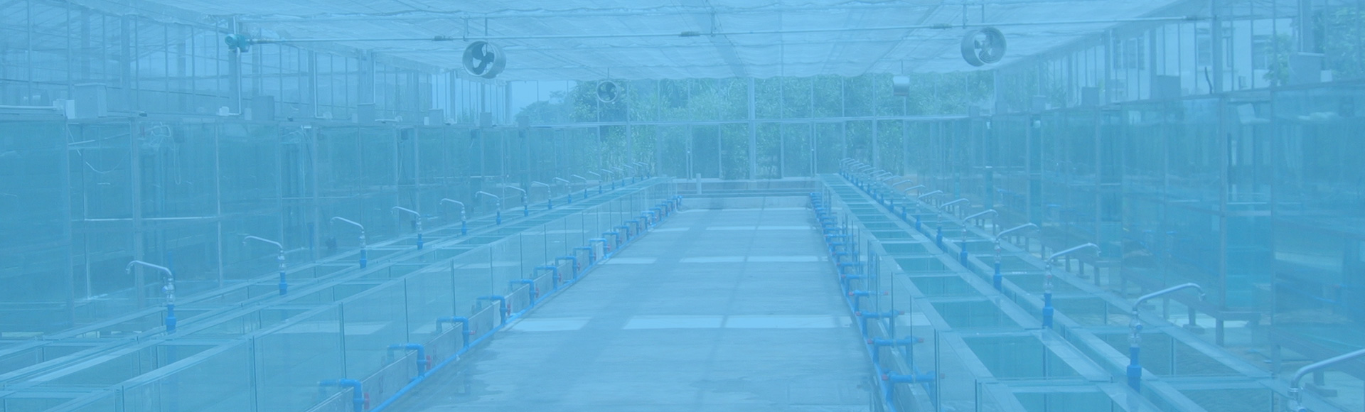 专业活动物及其产品代理进出口