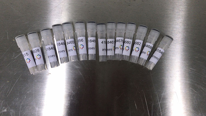进口生物制品顺利清关