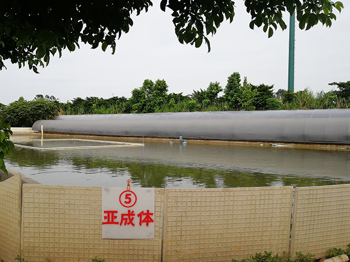 出口观赏龟养殖场顺利完成海关注册